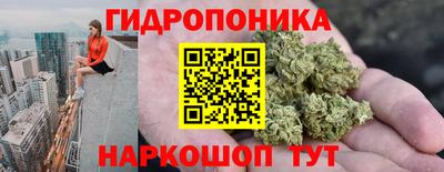 метадон Кингисепп