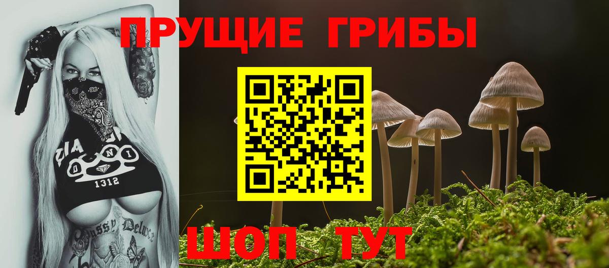 Псилоцибиновые грибы Psilocybine cubensis  Псилоцибиновые грибы ЛСД  Тара  Вход с VPN 