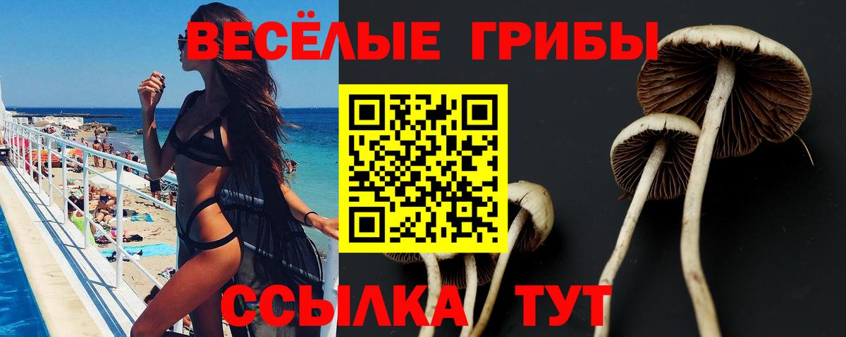 Галлюциногенные грибы мухоморы Тара
