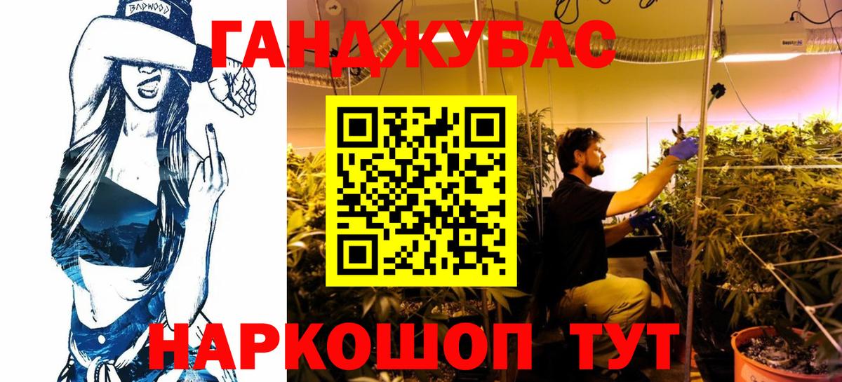 Канабис White Widow  Вход с VPN  Бошки марихуана планчик  Тара  Бошки Шишки White Widow 